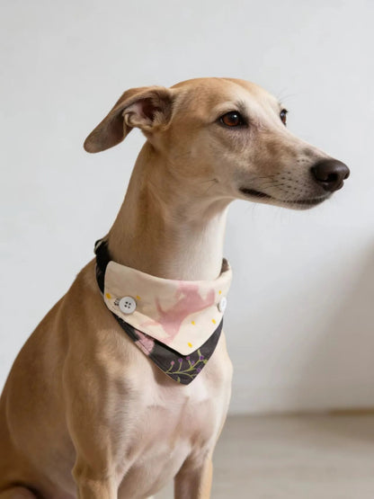 Reversible Detachable Four-Way Dog Bandana Bib