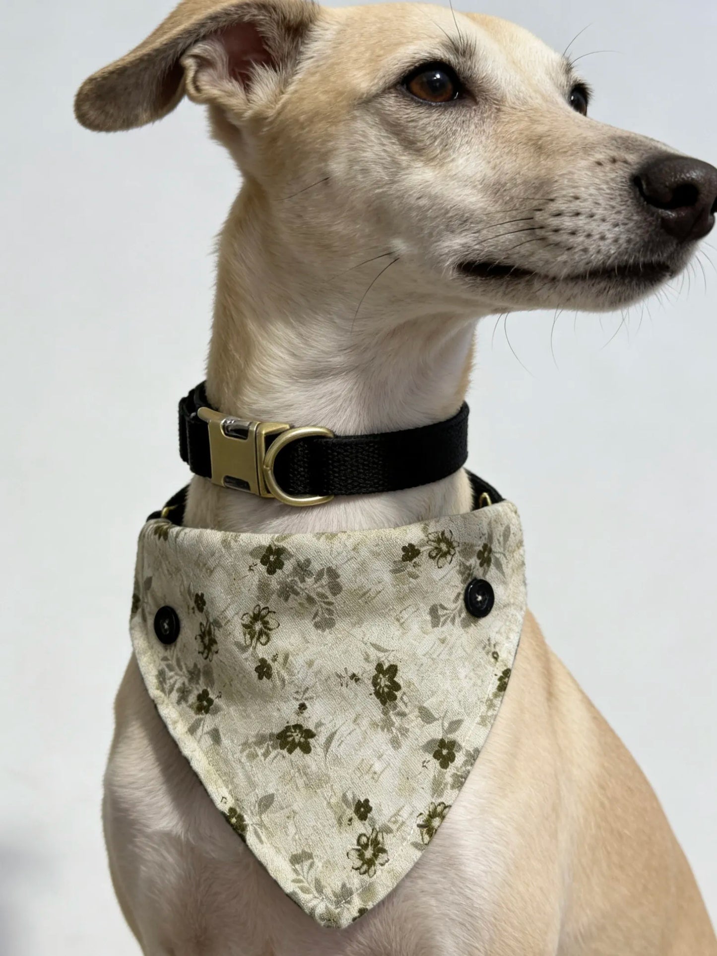 Detachable Four-Way Dog Bandana Collar