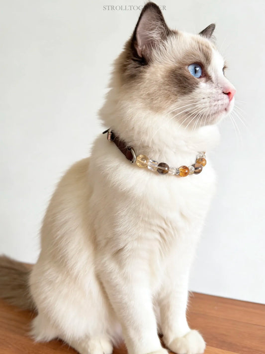 Leather Crystal Pet Necklace and Owner Bracelet Set