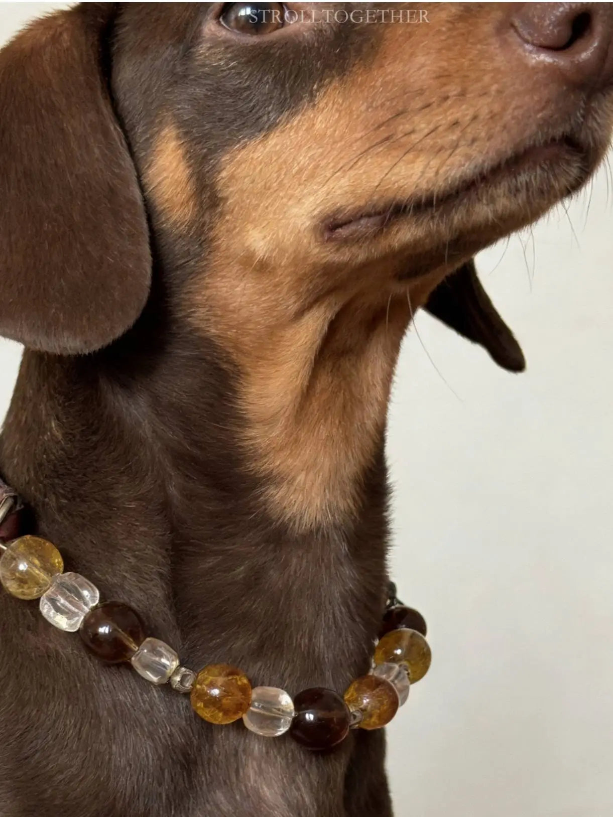 Leather Crystal Pet Necklace and Owner Bracelet Set