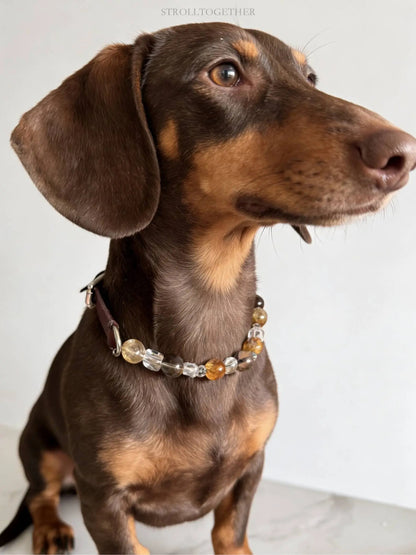 Leather Crystal Pet Necklace and Owner Bracelet Set