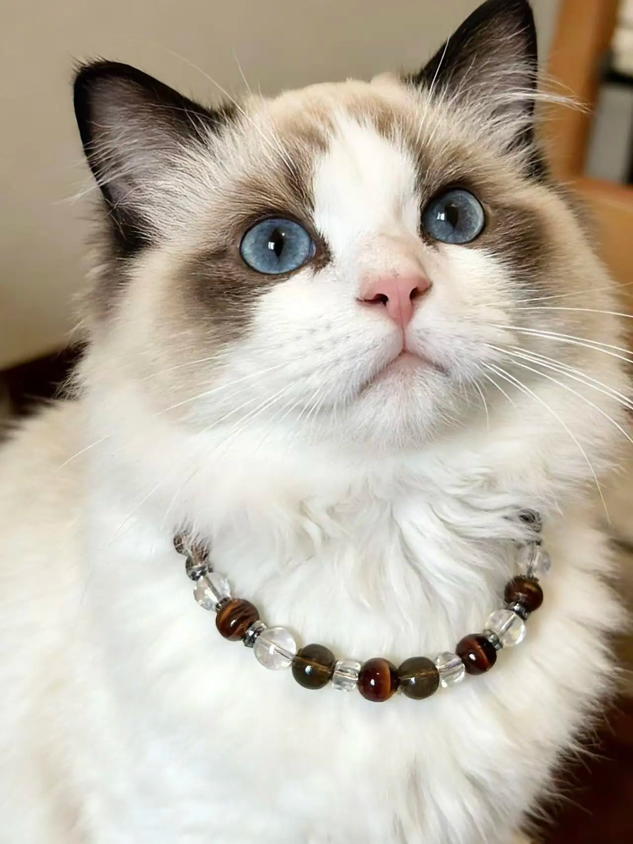 Red Tiger Eye Pet Necklace and Owner Bracelet