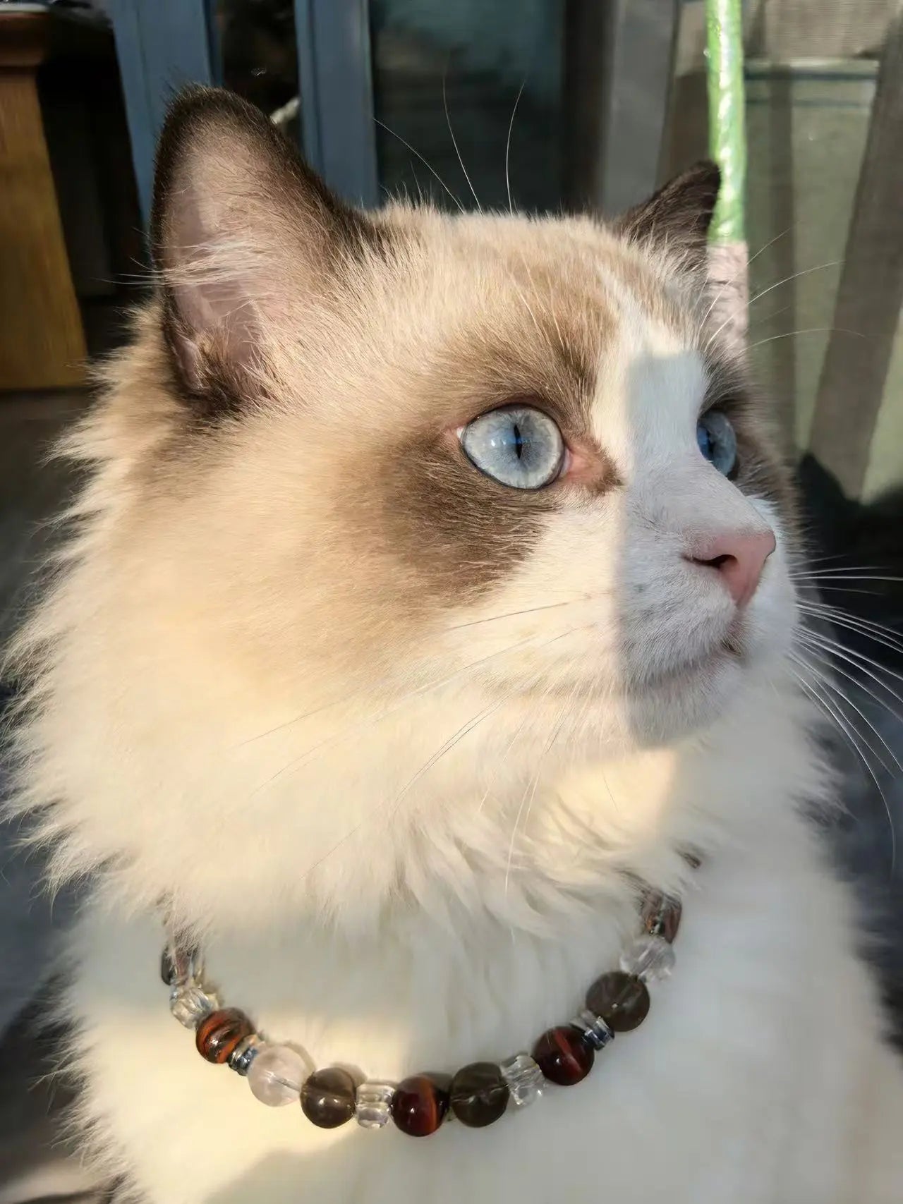Red Tiger Eye Pet Necklace and Owner Bracelet