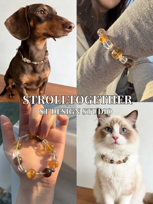 Leather Crystal Pet Necklace and Owner Bracelet Set