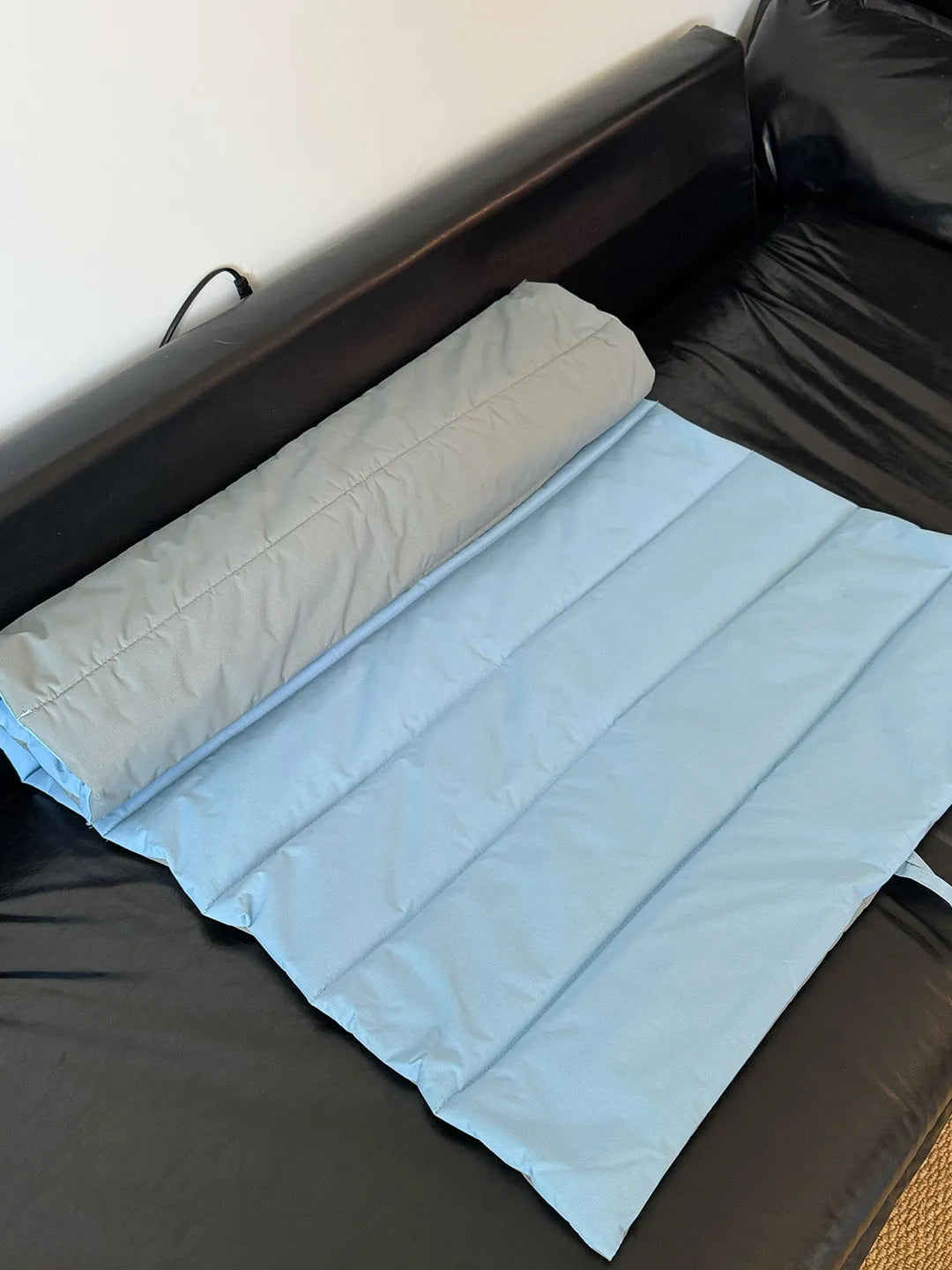 Waterproof Scratch-Resistant Foldable Dog Travel Mat