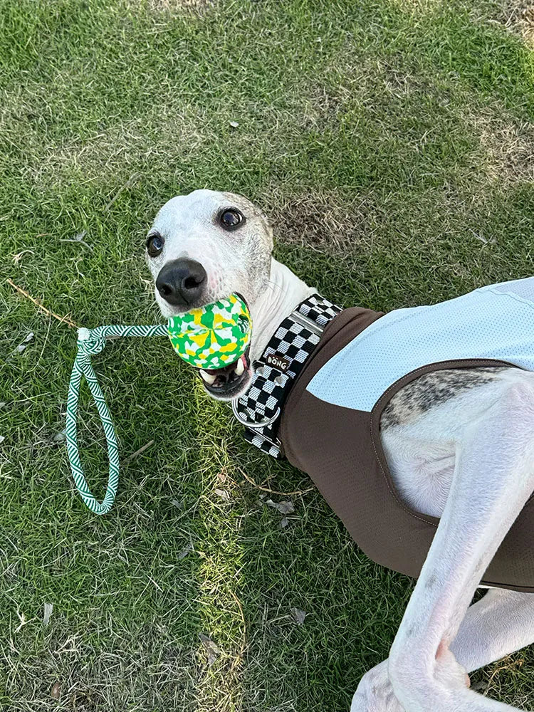 Chew-Resistant Rope Ball Toy for Small Dogs