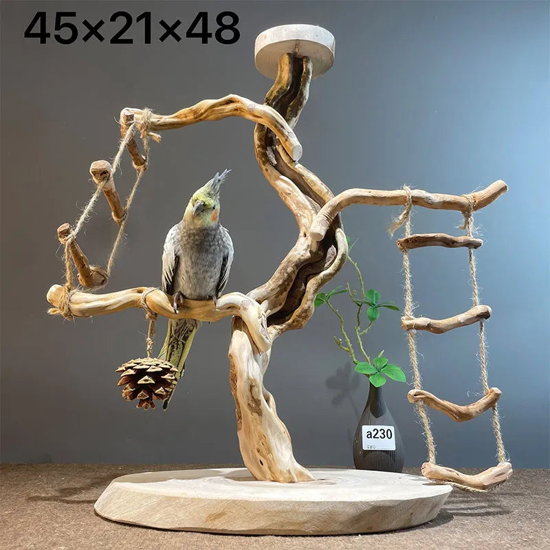Wild Fun Bird Play Gym & Activity Center