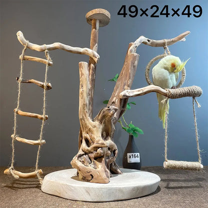 Wild Fun Bird Play Gym & Activity Center