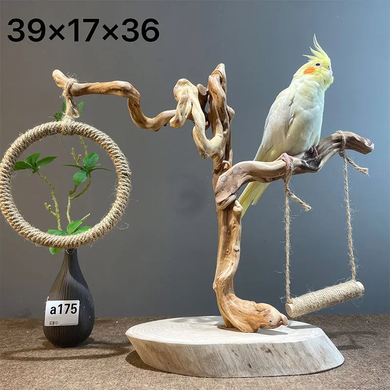 Wild Fun Bird Play Gym & Activity Center