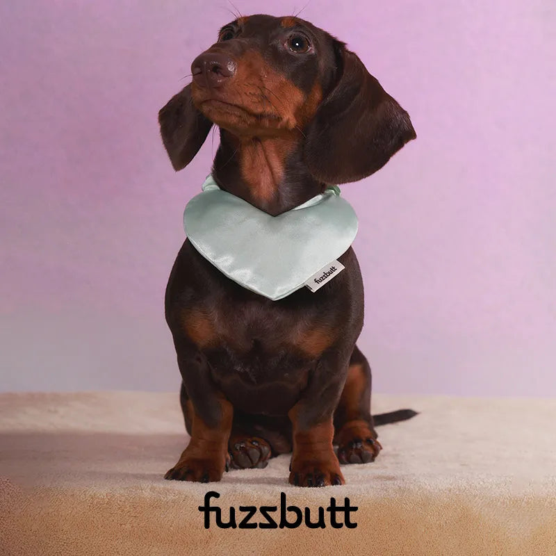 Fuzzbutt Satin Heart-Shaped Padded Bib