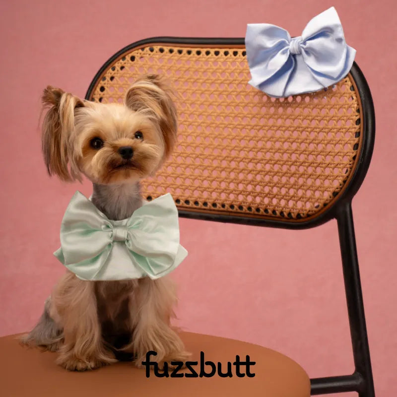 Fuzzbutt Satin French Bow Pet Bib