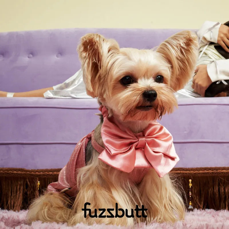 Fuzzbutt Satin French Bow Pet Bib