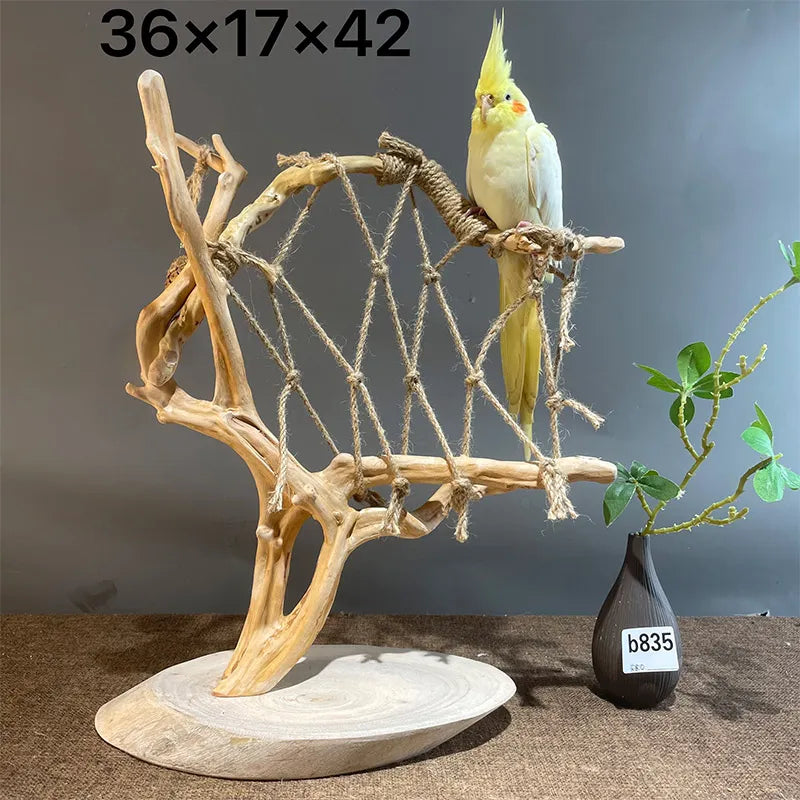 Wild Fun Bird Play Gym & Activity Center