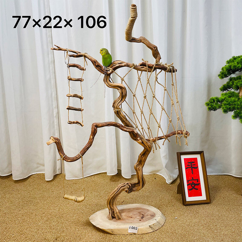 Wild Fun Bird Play Gym & Activity Center