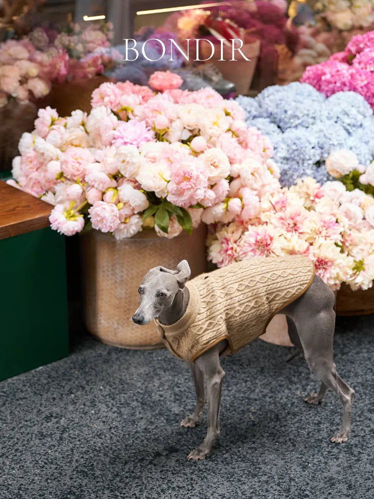 BONDIR Cable Knit Harness Dog Vest