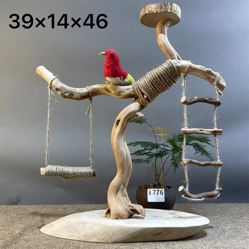 Wild Fun Bird Play Gym & Activity Center