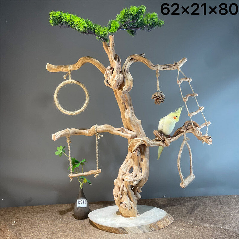 Wild Fun Bird Play Gym & Activity Center
