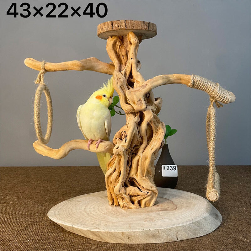 Wild Fun Bird Play Gym & Activity Center