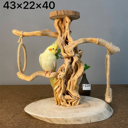 Wild Fun Bird Play Gym & Activity Center