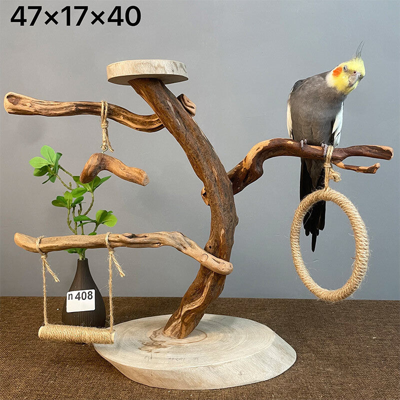 Wild Fun Bird Play Gym & Activity Center