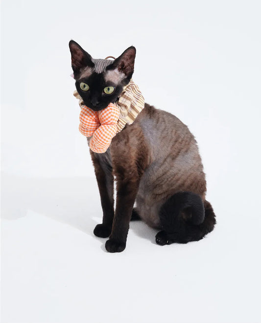 FuzFuz Floral Bib Bandana