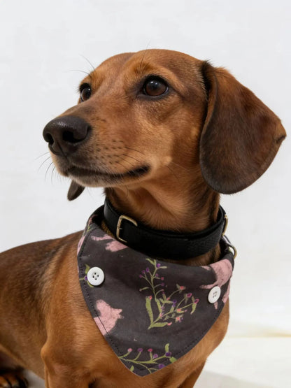 Reversible Detachable Four-Way Dog Bandana Bib