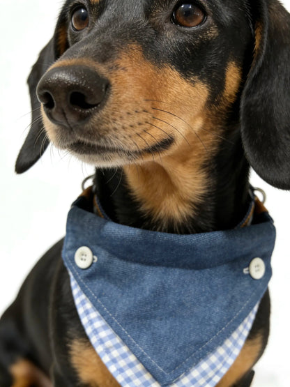 our-Way Dachshund Bandana Collar and Leash Set