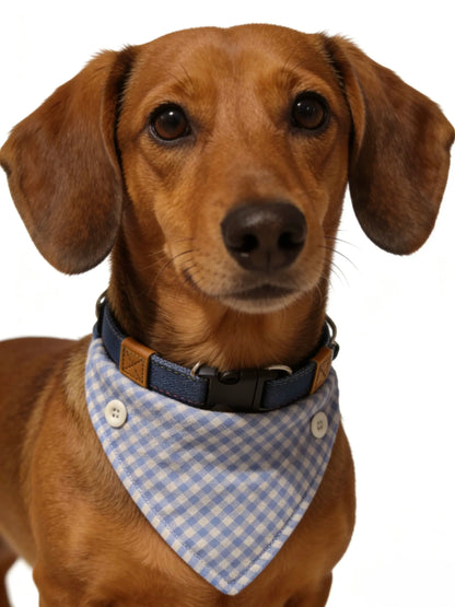 our-Way Dachshund Bandana Collar and Leash Set