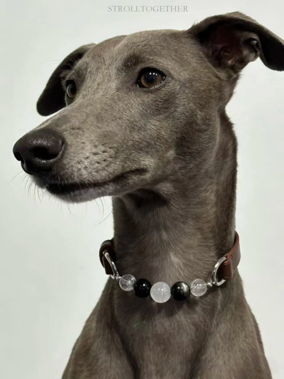 Matching Pet Crystal Collar & Owner Bracelet
