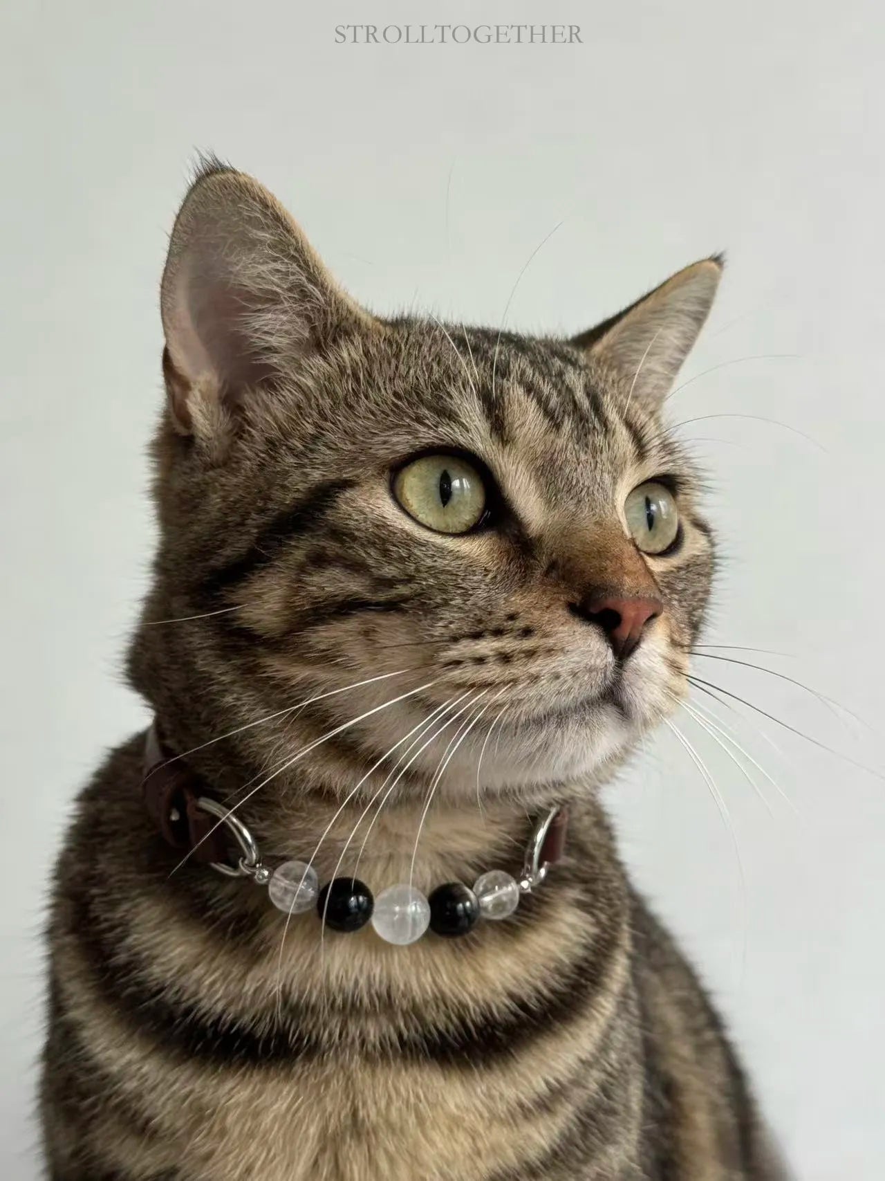 Matching Pet Crystal Collar & Owner Bracelet