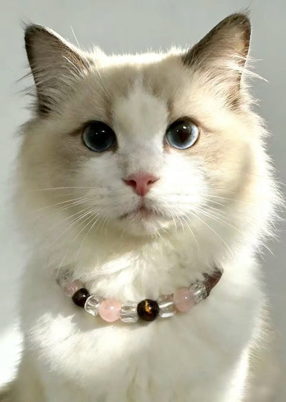 Rose Quartz Tiger Eye Pet Necklace Collar