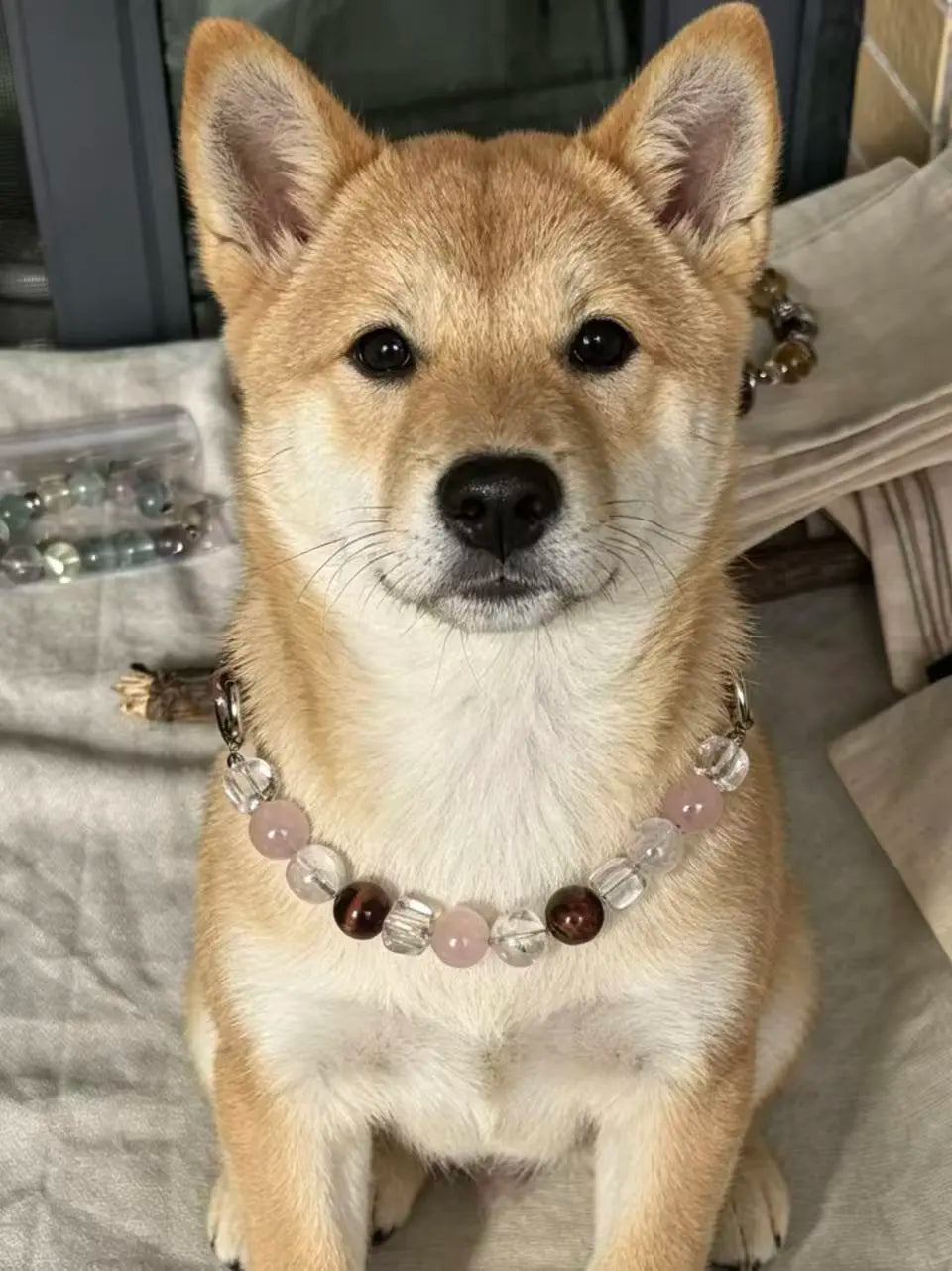 Rose Quartz Tiger Eye Pet Necklace Collar