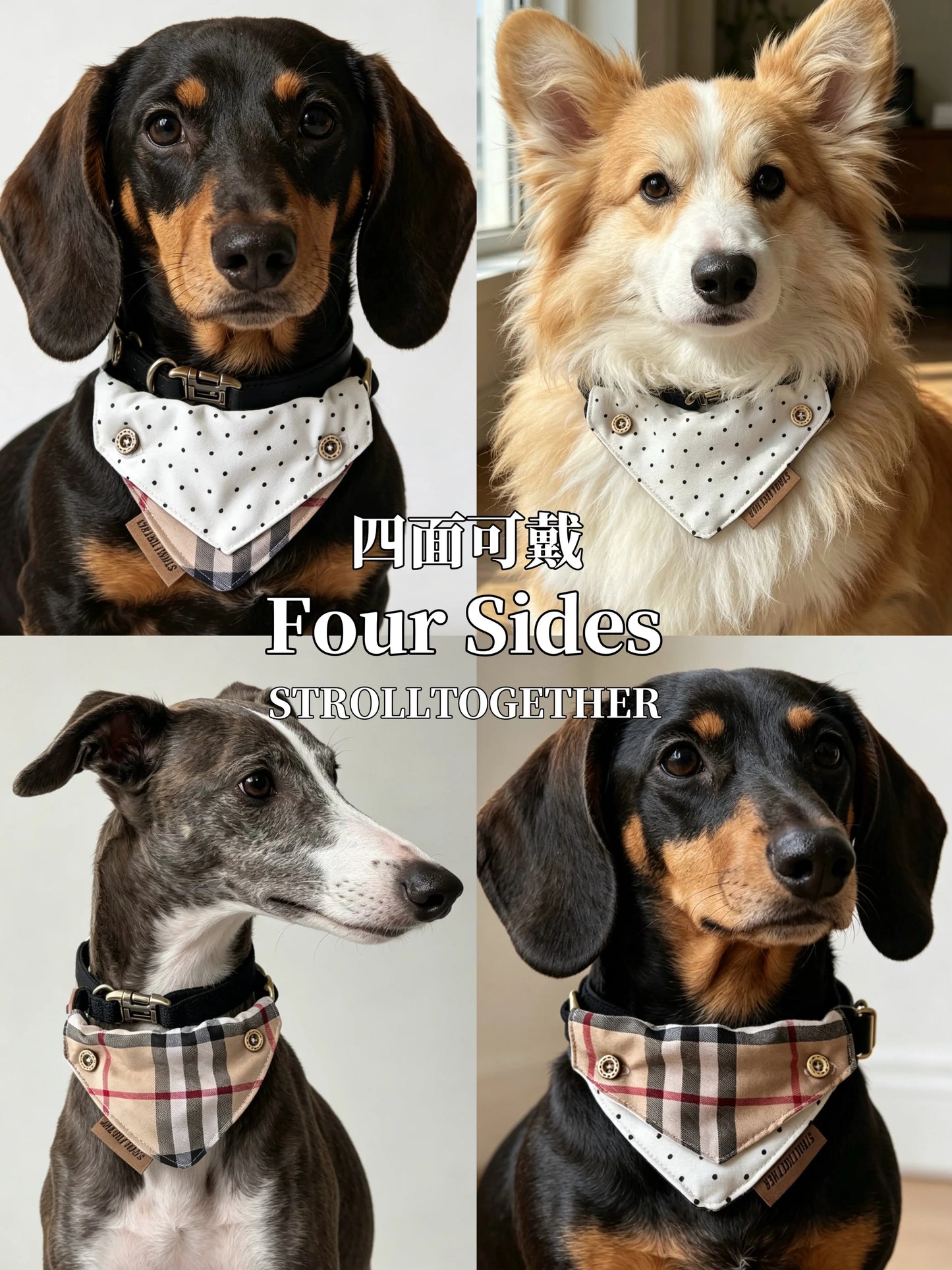 Four-Way Plaid Polka Dot Dog Bandana Collar