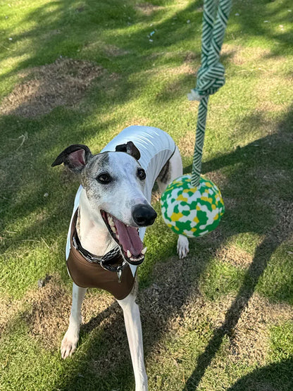 Chew-Resistant Rope Ball Toy for Small Dogs