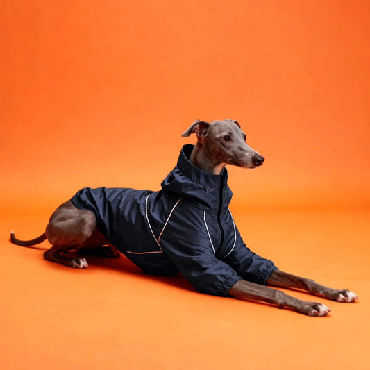 Small Dog Warm Double-Layer Jacket