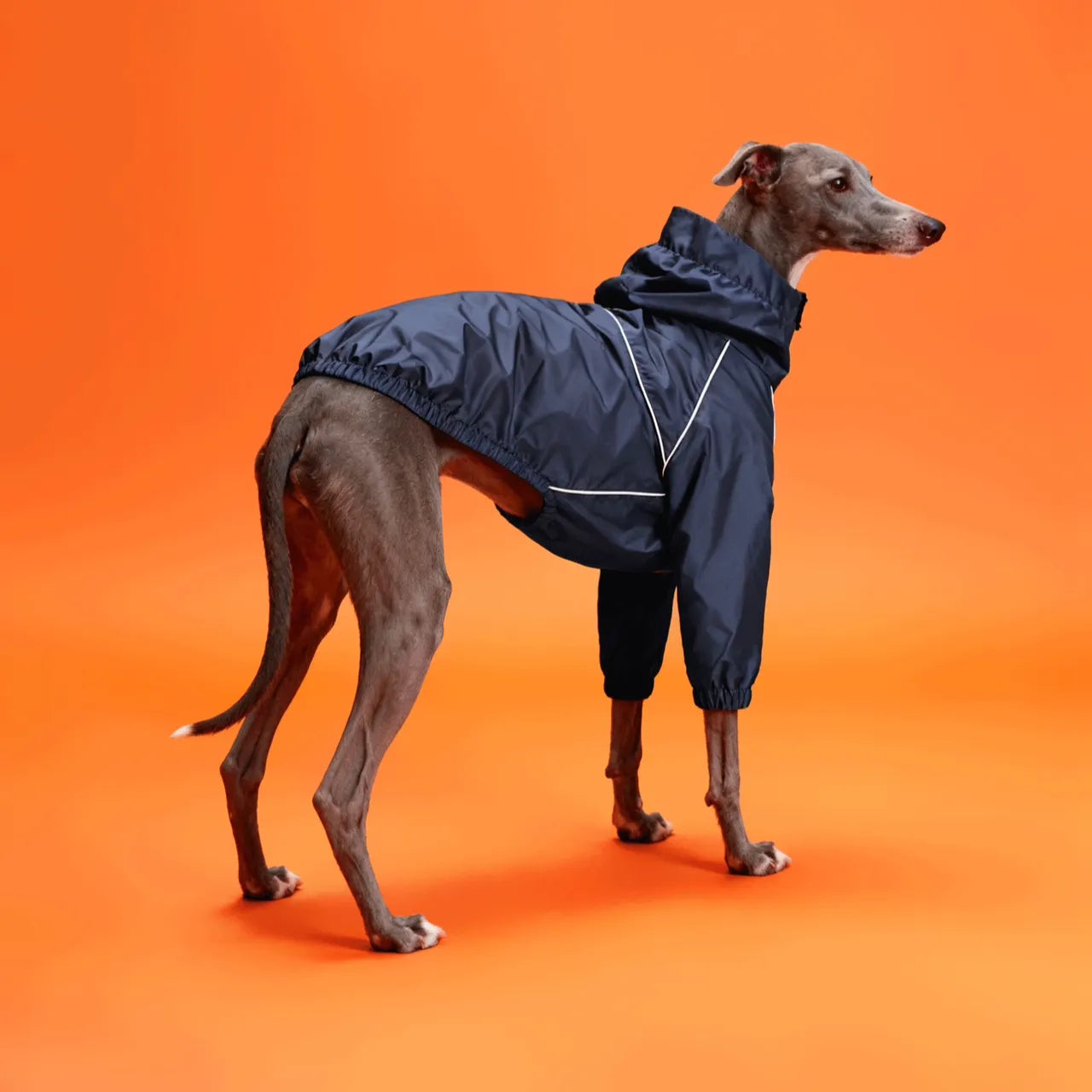 Small Dog Warm Double-Layer Jacket