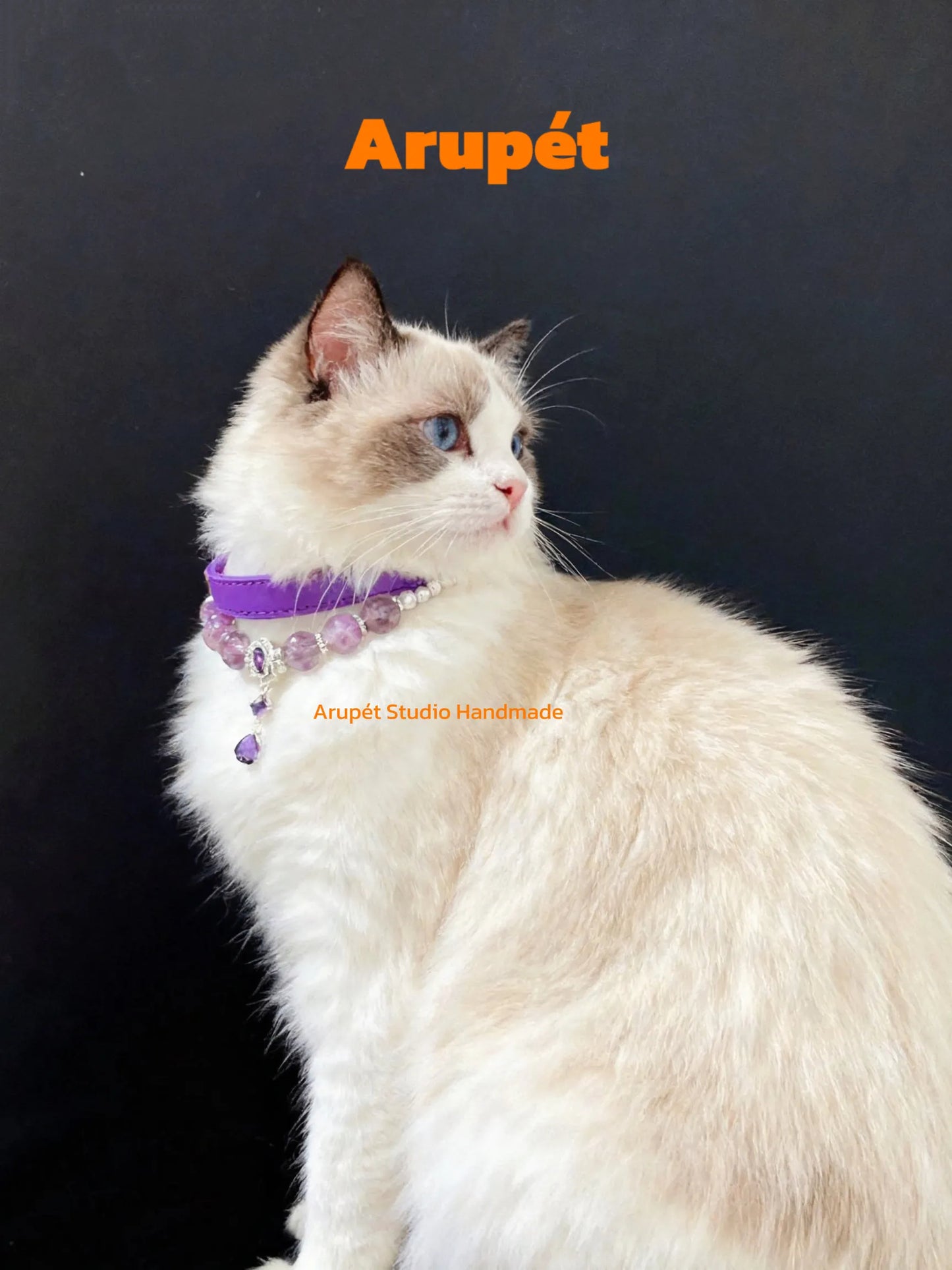 Amethyst Leather Pet Collar Necklace & Matching Bracelet