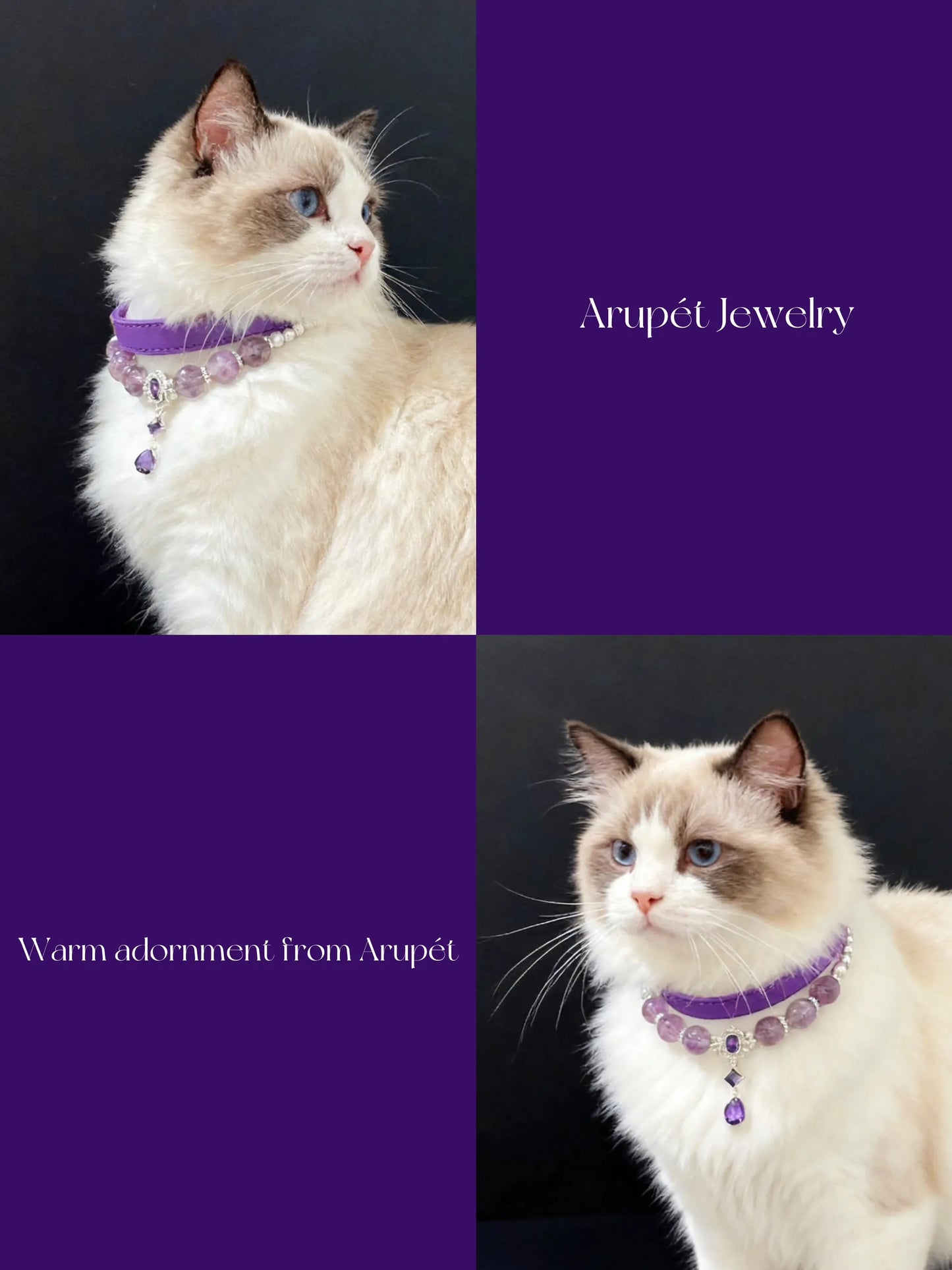Amethyst Leather Pet Collar Necklace & Matching Bracelet