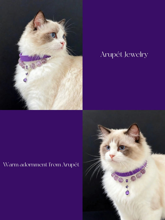 Amethyst Leather Pet Collar Necklace & Matching Bracelet