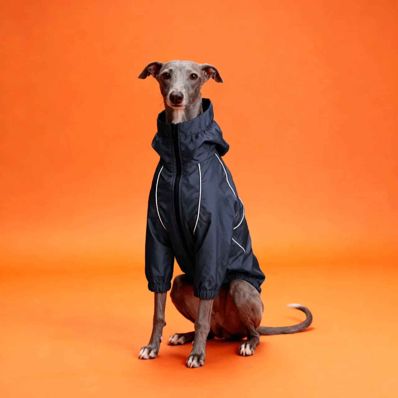 Small Dog Warm Double-Layer Jacket