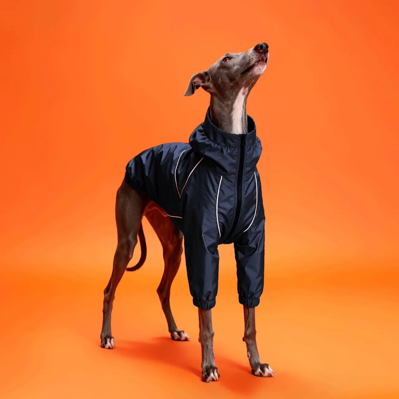 Small Dog Warm Double-Layer Jacket