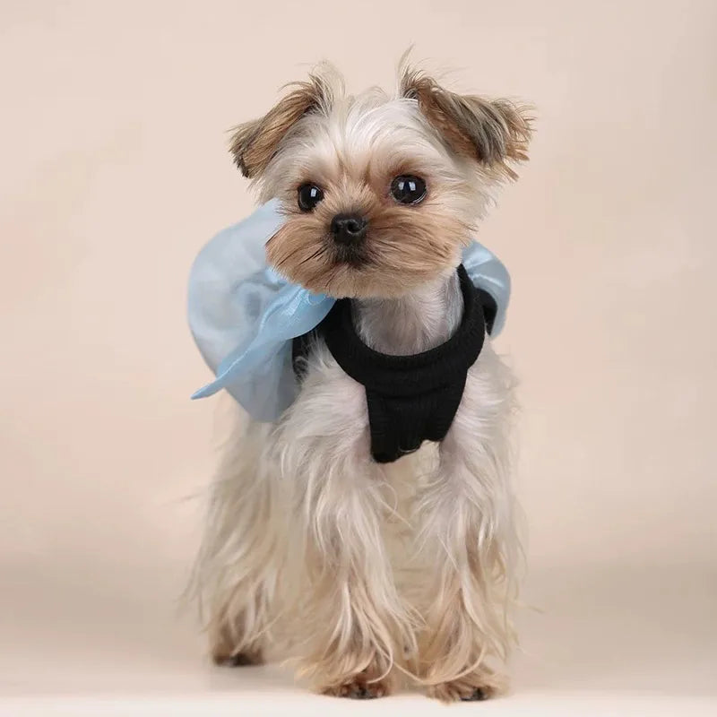 dotty lab. Halter Bow Bubble Vest