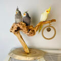 Wild Fun Bird Play Gym & Activity Center