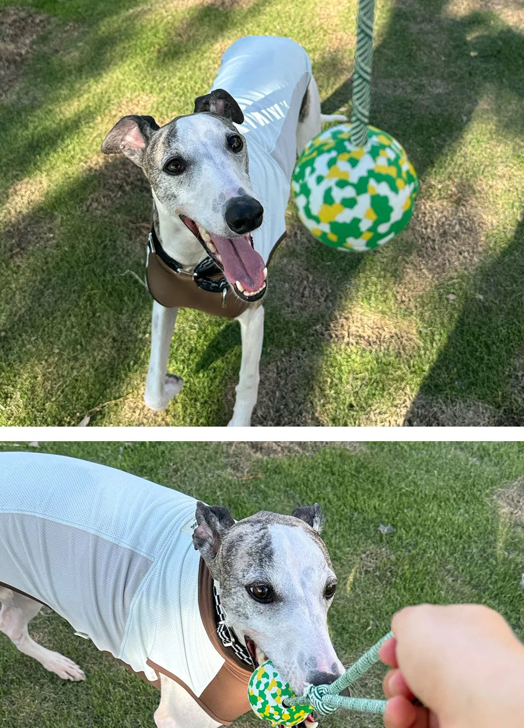 Chew-Resistant Rope Ball Toy for Small Dogs