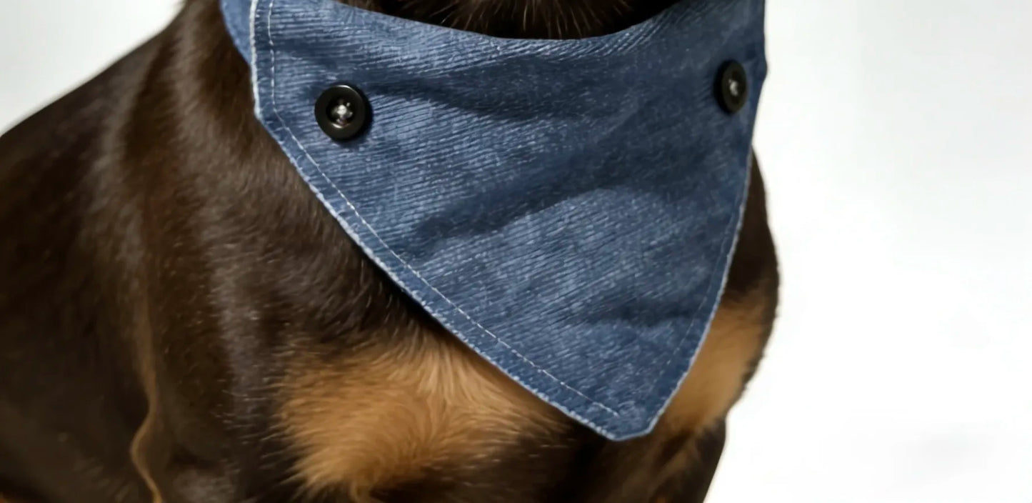 our-Way Dachshund Bandana Collar and Leash Set