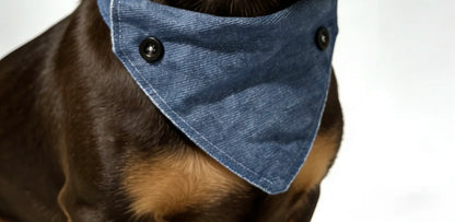 our-Way Dachshund Bandana Collar and Leash Set