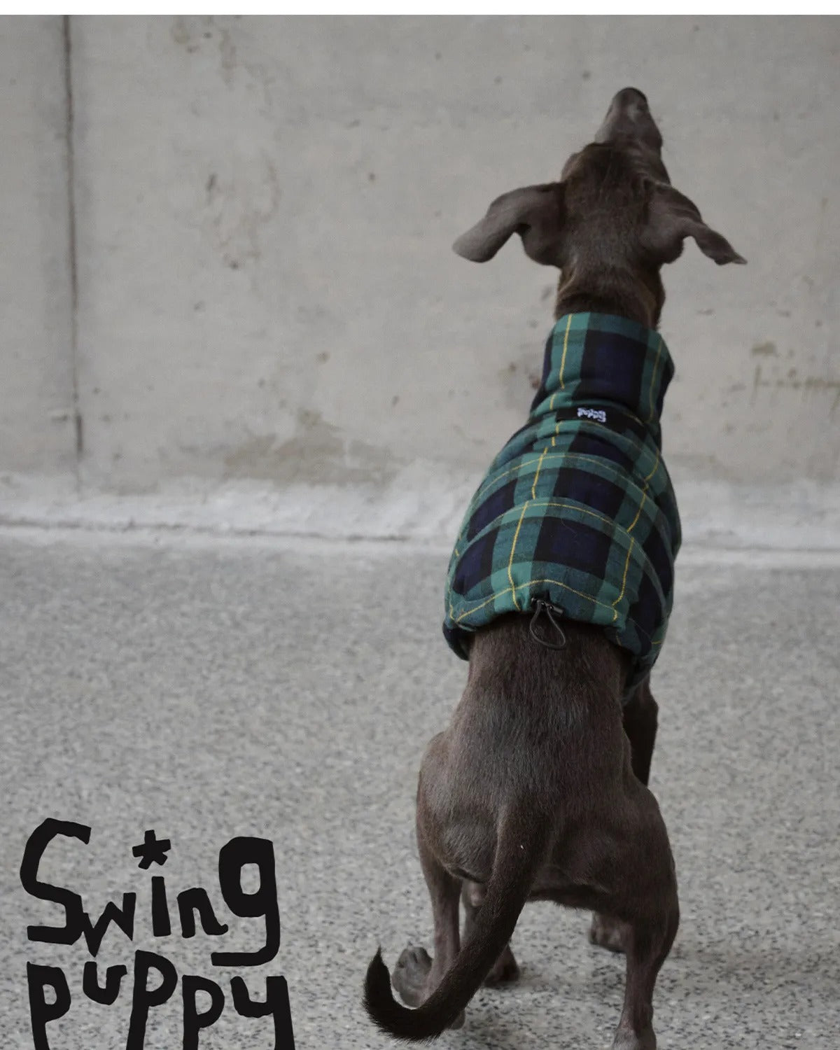 Green Plaid Dog Down Coat