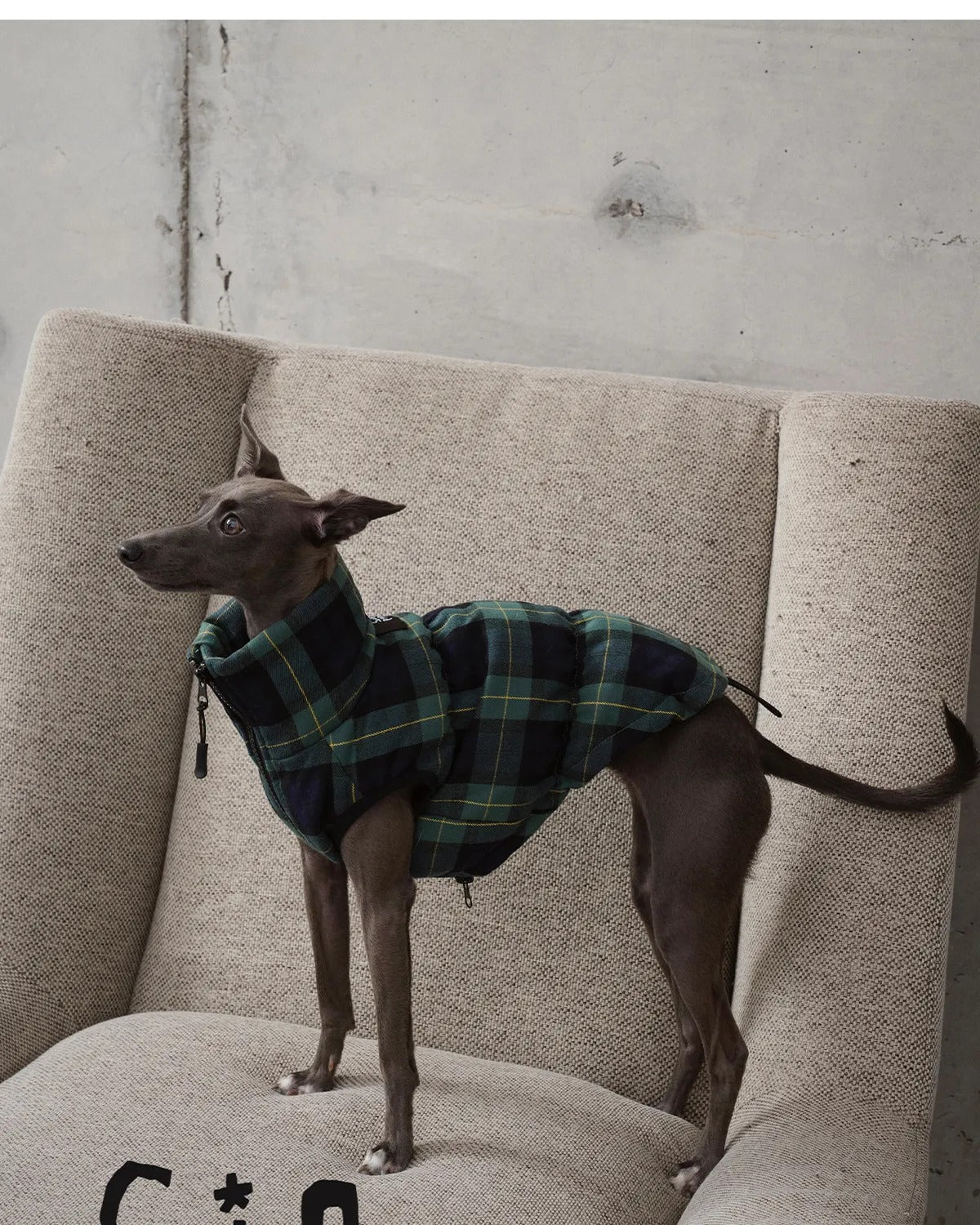 Green Plaid Dog Down Coat
