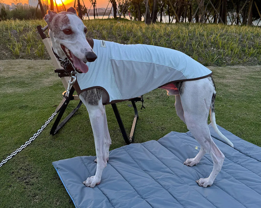 Waterproof Scratch-Resistant Foldable Dog Travel Mat