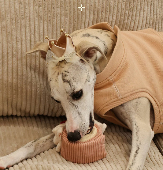 Cake Roll Pet Snuffle Toy